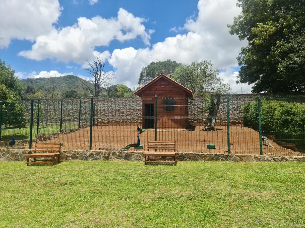 Finca Los Angeles Hospederia & Sociales Huasca de Ocampo Bagian luar foto